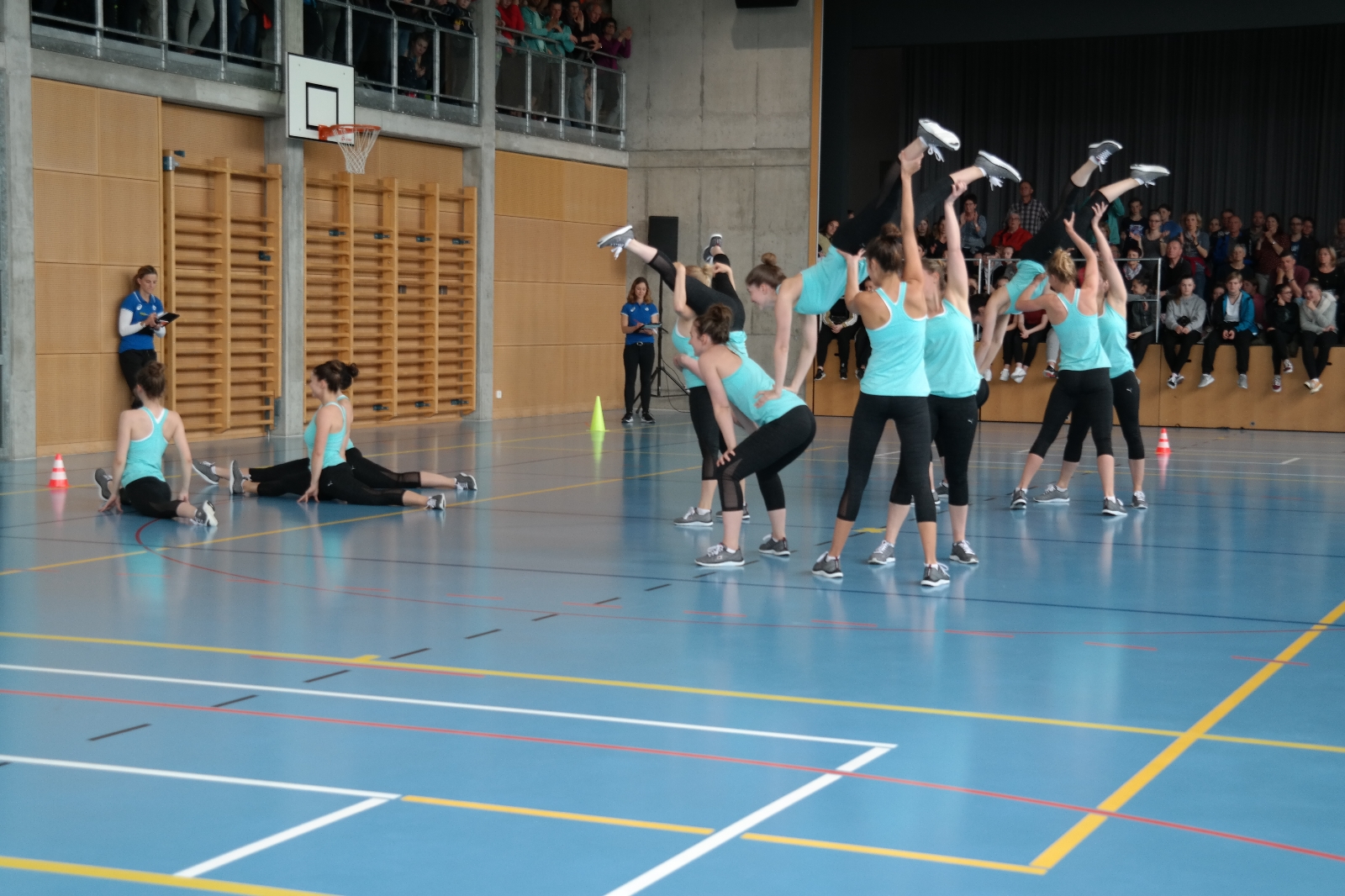 Bild 1 (50)